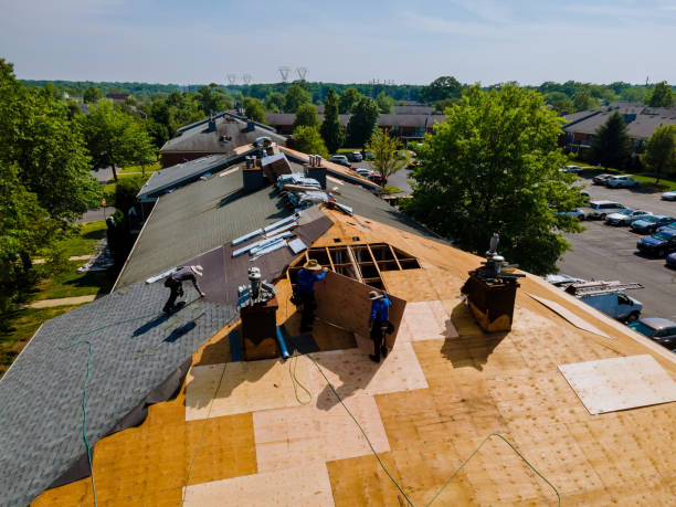 Trusted Flat Roof Repair service in Buena Vista, TN - Brentwood Metal Roofing